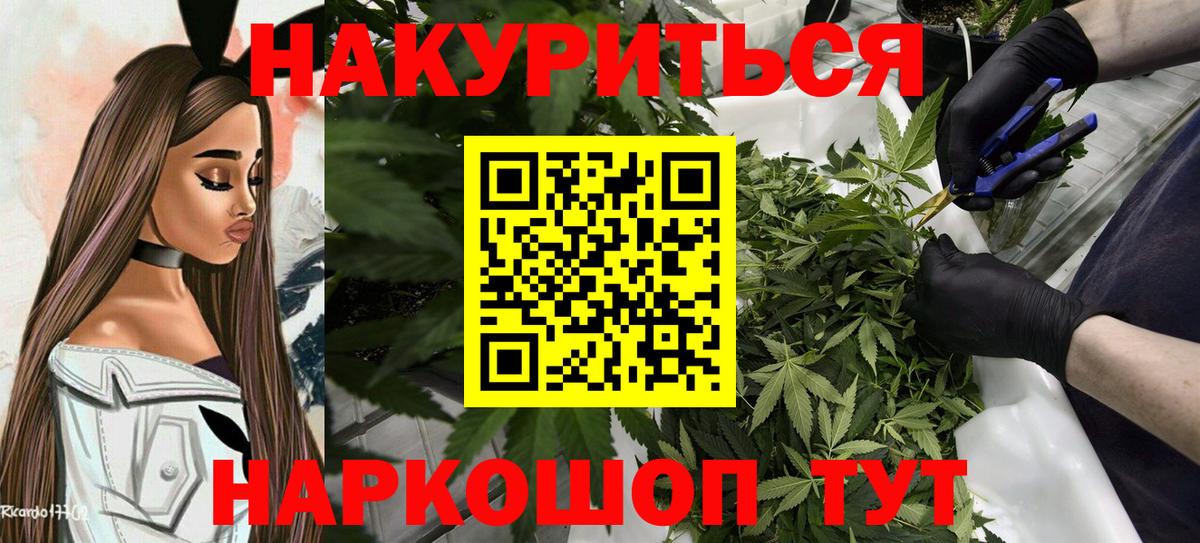 Каннабис планчик Астрахань